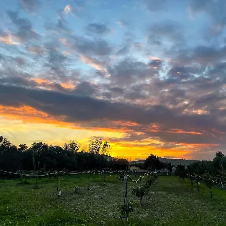 Claudia - B Apartamento Crotone