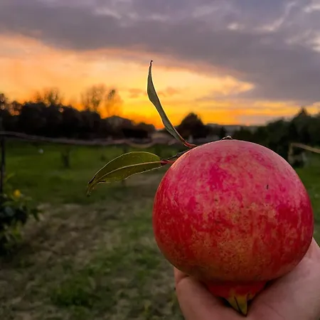 Apartment Claudia - B *