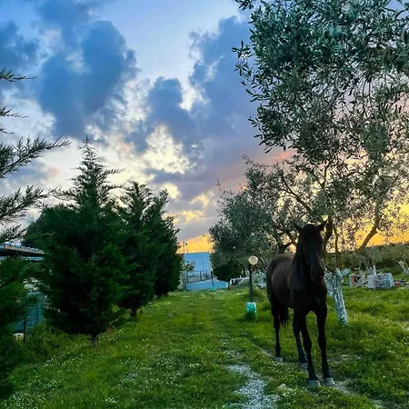 Claudia - B * Crotone