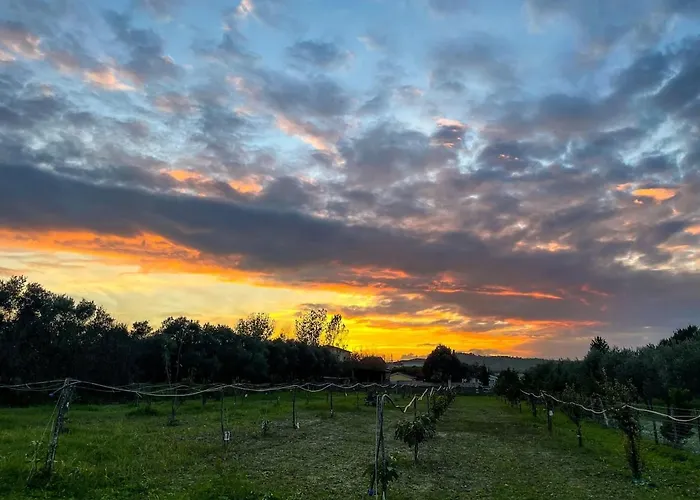 Claudia - B Apartamento Crotone